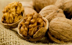 Walnut dan Bawang Putih Terbukti Masih Ampuh Bikin Ereksi Tahan Lama