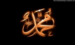 Mengenal Istri-istri Nabi Muhammad SAW (Habis)