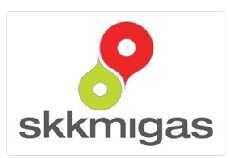 Plt Kepala SKK Migas Jamin Kinerja Lembaganya Tak Terganggu