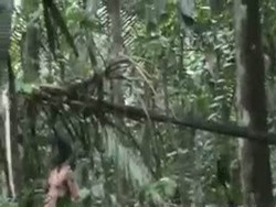 Langka, Penampakan Suku Asli Amazon Terekam Kamera
