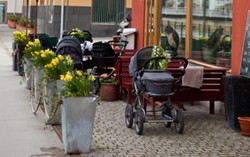 Bawa Baby Stroller, Pasangan Ini Dilarang Masuk Restoran