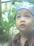 Yondhika Farras Manshyur, 4,1 Tahun, Lelaki