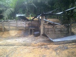 Ini Penampakan Kilang Ilegal Minyak di Sumatera Selatan