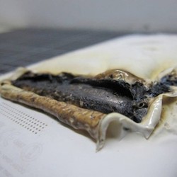 Giliran HTC One X Terbakar