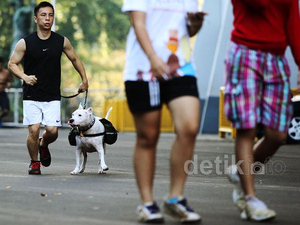 Pasca Libur Lebaran, Aktivitas Olahraga di GBK Ramai