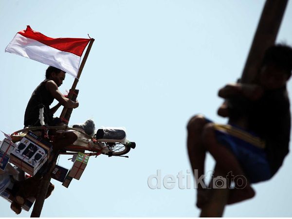 Panjat Pinang Meriahkan Perayaan HUT RI