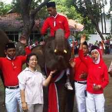 Agustusan, Gajah-gajah pun Joget Caisar Style