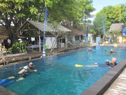 Mau Belajar Diving di Lombok? Ini Dia Caranya