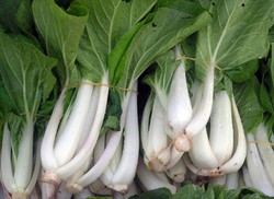 Mencuci Sayuran Hijau