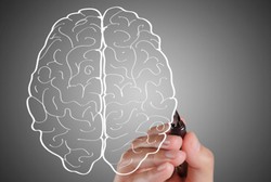 Kata Peneliti Ini, Kepribadian Otak Kanan-Otak Kiri itu Cuma Mitos