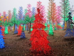 Unik! Malaysia Punya Hutan Lampu di i-City, Shah Alam