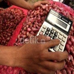 5.000 Kg Bawang Merah Impor Ilegal Asal Malaysia Dimusnahkan