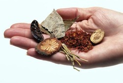 Obat Ekstrak Herbal Tak Kalah dengan Obat Kimia