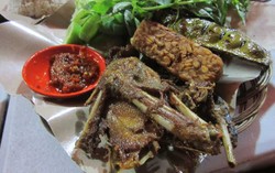 Bebek Galak: Pedas Mantap Bebek Goreng Dicocol Sambal Rawit