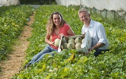 Untuk Pertama Kalinya Melon Berhasil Dipanen di Inggris