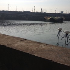 Warga Minta Taman Waduk Grogol Dibuat Jogging Track