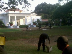 Ketika Rumput Istana Mengering