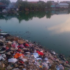 Kisah Situ Rawa Badung di Cakung, Bening dan Penuh Ikan