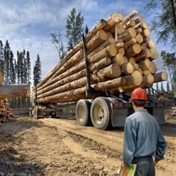 Ini 10 Pekerjaan Paling Mematikan