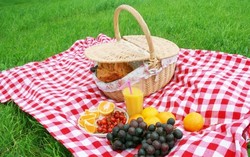 Mau Piknik Bersama Keluarga? Jangan Lupakan Hal Penting Ini! 