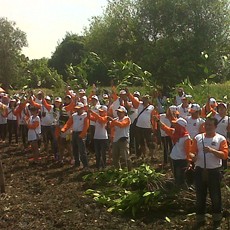 Penanaman Mangrove Serentak di 10 Provinsi Sabet Rekor MURI