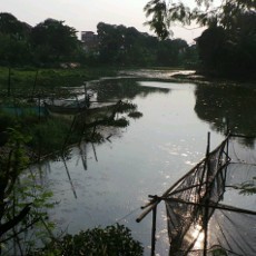 Situ Mangga Bolong, Sumber Resapan Air di Jakarta yang Terabaikan