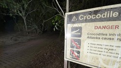 Pria Australia Tewas Dimakan Buaya Saat Sedang Rayakan Pesta Ultah