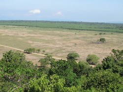 Taman Nasional Baluran, Afrika di Ujung Pulau Jawa
