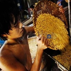 DPR Desak Bulog Turun Tangan Kendalikan Harga Kedelai