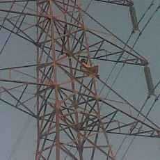 Pria Tak Dikenal Panjat Tower Sutet 40 Meter Hebohkan Warga