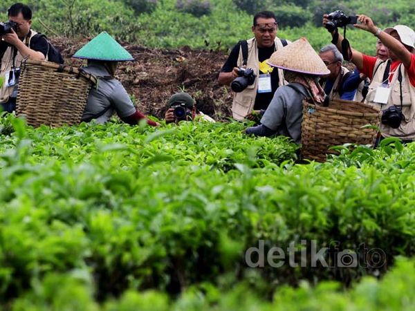 Peserta GAWPC Disambut Kabut Danau Toba