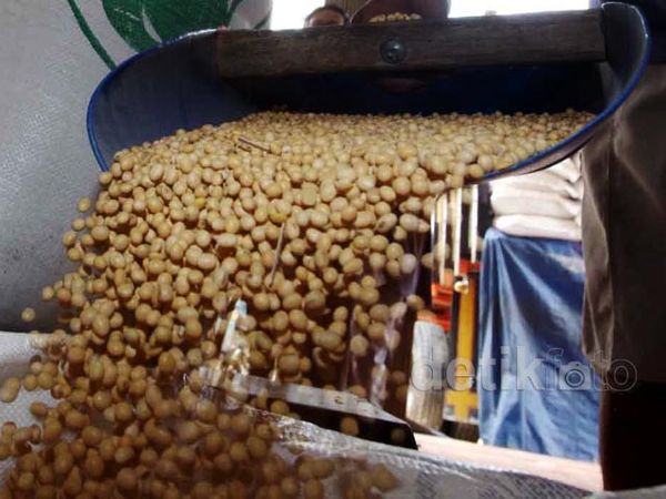 Pemerintah Belum Mau Hapus Bea Masuk Kedelai Impor