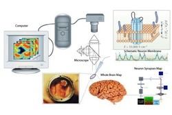 Temuan Terbaru Ilmuwan Indonesia untuk Cegah Gangguan Penglihatan Sejak Dini