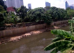  Ini Hasil Aksi Hebat Warga Jaga Kebersihan Ciliwung