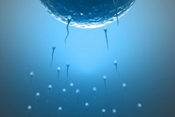 Ini yang Bikin Sperma Makin Lincah, dari Vitamin Hingga Bercinta