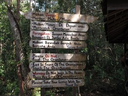 Penting! 6 Hal yang Tak Boleh Dilakukan di Tanjung Puting