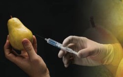 Awas! Nanopartikel Kini Disuntikkan pada Buah dan Sayur Segar!