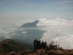 Menatap Keanggunan Gunung Merbabu