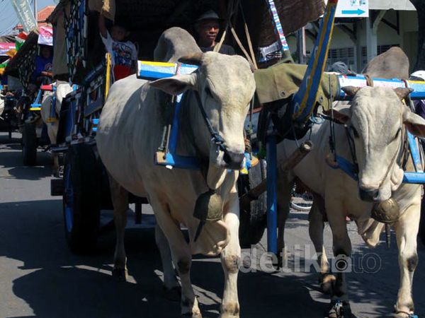 200 Bajingan Peringati HUT RI