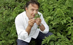 Chef Raymond Blanc Desak Sekolah Ajarkan Tanam Sayuran 