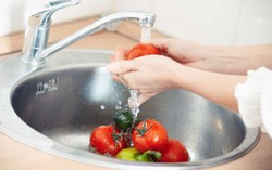 Cuci Kerang dan Sayuran dengan Cara Ini Agar Hilang Bakterinya