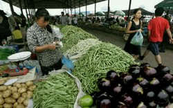 Penjualan Produk Pertanian di China Terus Meningkat