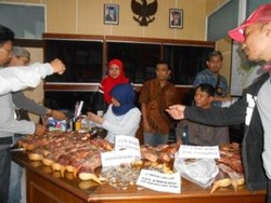 Selundupkan Satwa Langka Bernilai Miliaran, Lim Divonis 8 Bulan Bui