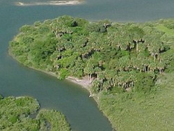 Nih, Ada Pulau Pribadi Ingin Ditukar Mobil