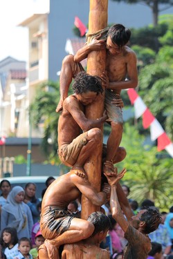 Berjuang bersama di panjat pinang