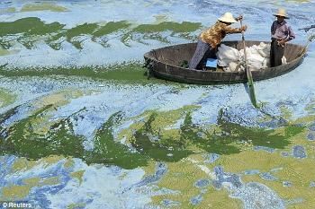 Menilik Desa-desa Kanker Made in China