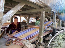 Ada Apa di Kolong Rumah Panggung Desa Wabula, Buton?