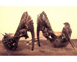 Sepatu High Heels dari Burung Mati Ini Dijual Seharga Rp 27 jutaan