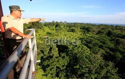 Komentar Menhut Soal Kebakaran Hutan yang Sebabkan Kabut Asap di Riau