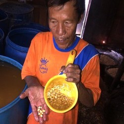 Perajin Tempe Temukan Kedelai Bercampur Jagung